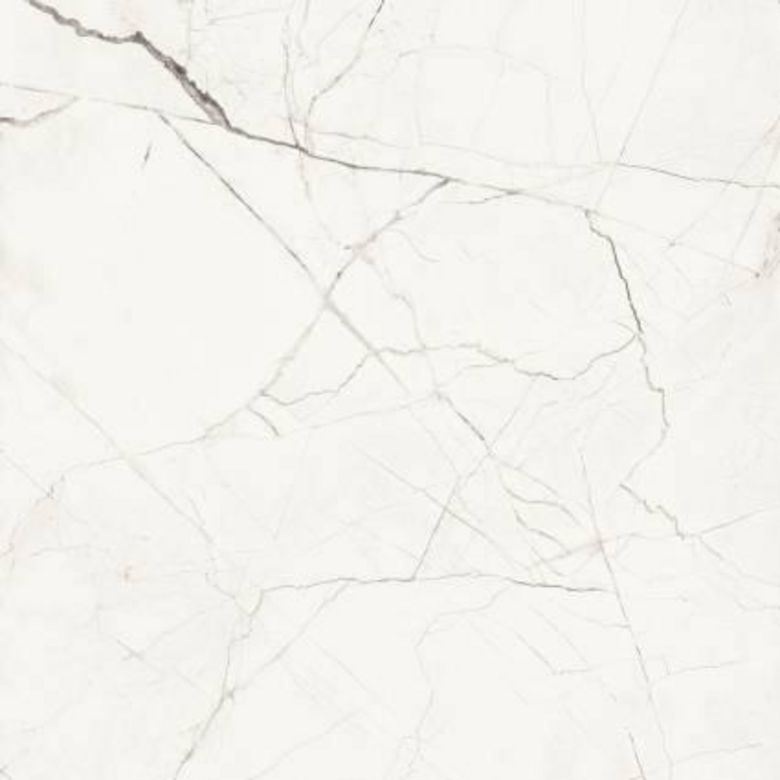 Carrelage SPARTACUS marbre blanc mat 120x120 ép.6.5 mm aspect mat - Lapeyre