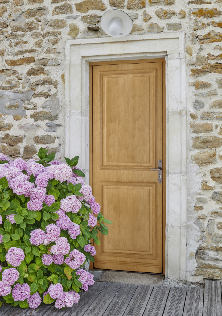 Porte d'entrée Bois exotique ANNAËLLE