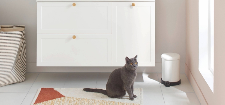 Installer une chatière dans une porte : la méthode selon le support